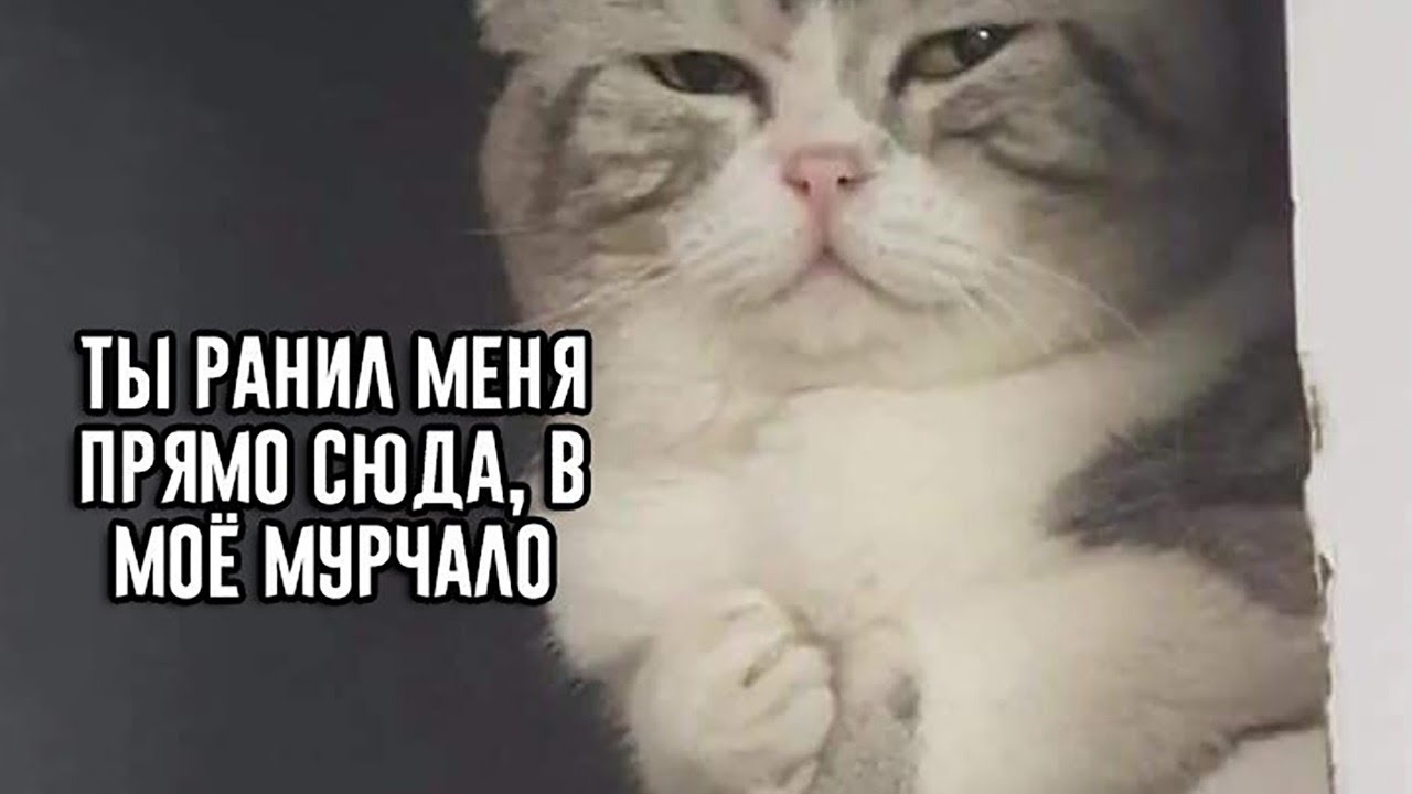 6d7e97277f96052994d948df3066d02b.jpg