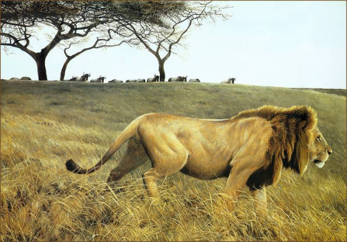 lrsbatemanrobert-stalkinglion-artfond.jpg