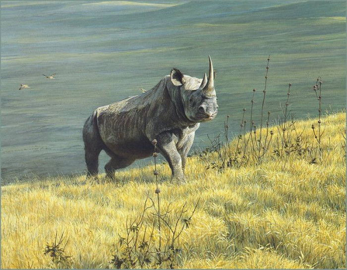 lrsbatemanrobert-rhinoceros-artfond.jpg