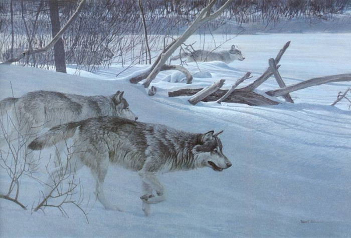 kb-bateman-wolf-pack-in-moonlight-artfond.jpg