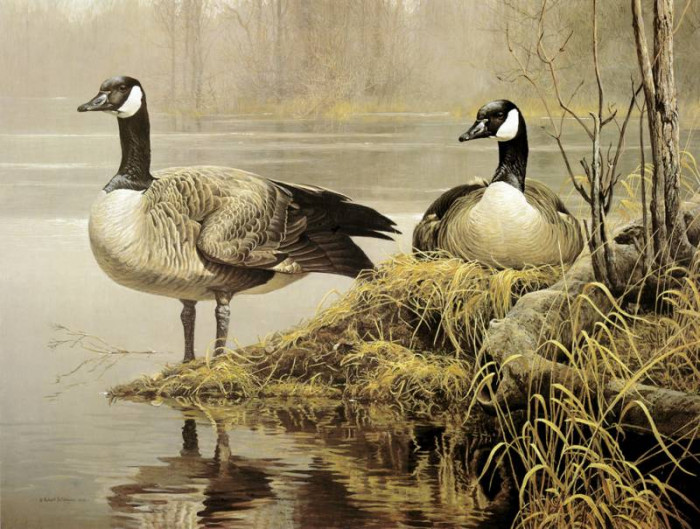kb-bateman-nesting-geese-artfond.jpg