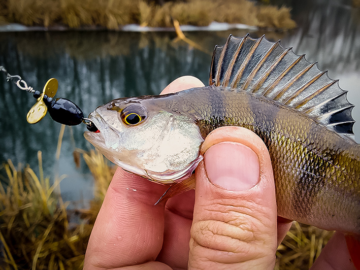 https://s8.hostingkartinok.com/uploads/images/2019/11/ce1002b23f3e7a6f7100fd6dfed10724.jpg