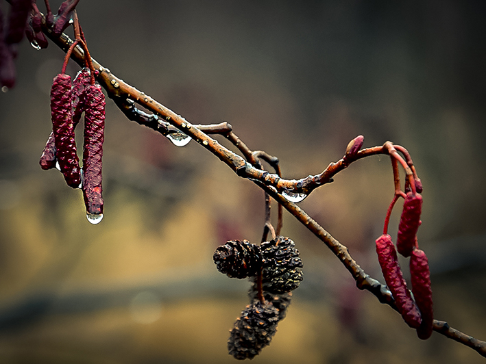 https://s8.hostingkartinok.com/uploads/images/2019/11/f05d78a7d18954b74f778b6506eff5ab.jpg