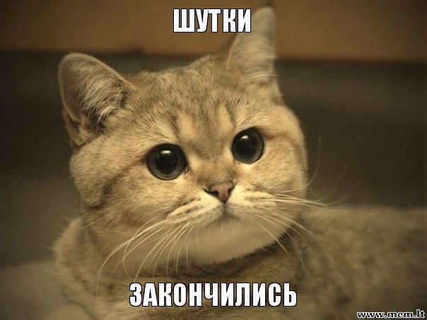 58c6a72bf629b11bc0e4a59ccffe4c21.jpg