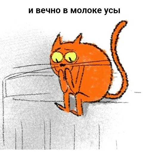 9772d402570ffb6184f729d825f521e4.jpg