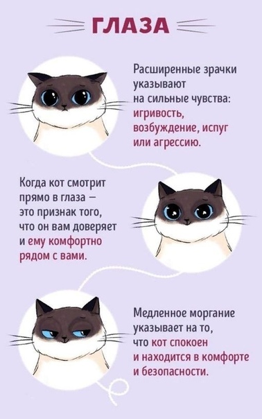 083276fb9e565fba86890163fbc38f6a.jpg