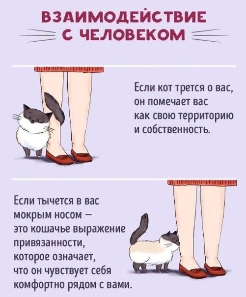 09d64e3f78b17bd1cc4889e6863be6ed.jpg