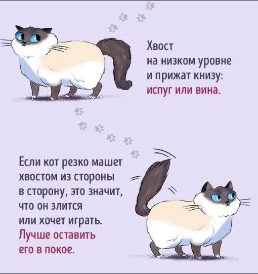 55a5e74bb91ddad523f6c5103116b082.jpg