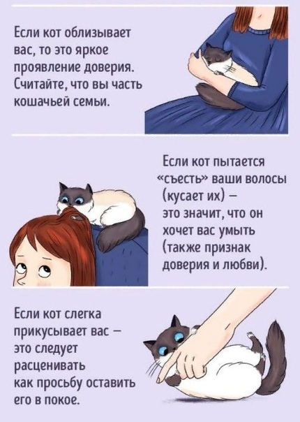 5fedb4c0f71ffe2eaff0f2f1959b4576.jpg