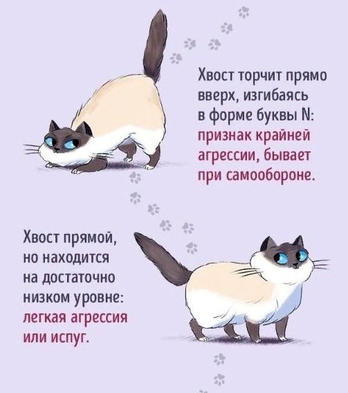 af606733276239f32f484412c968e7b0.jpg