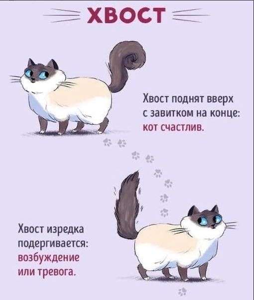 cba27a6cd814fc12dee681d59a9bd849.jpg