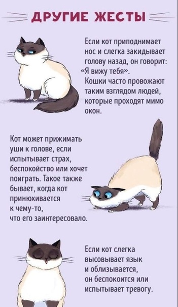 dfe3f0676326da66236570572fbf8c4e.jpg