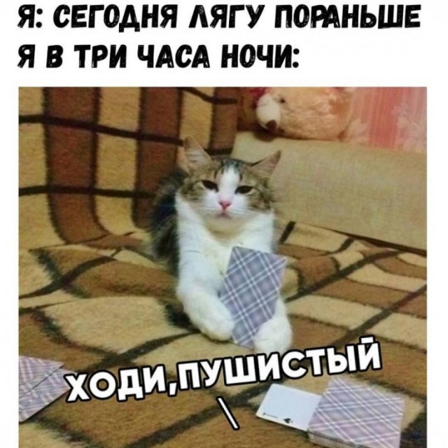 https://s8.hostingkartinok.com/uploads/images/2020/02/02f361c40694d7c3f3568fdc7b76ad72.jpg