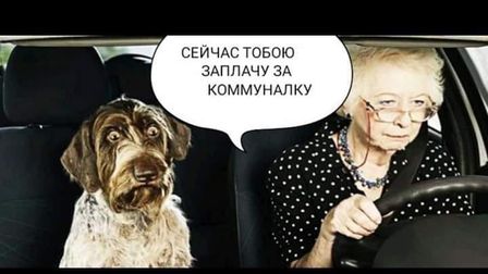Зображення