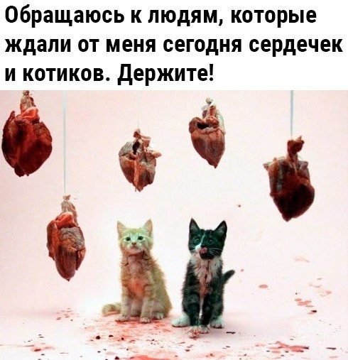8319bba841a74a31e72cdf199bc195d0.jpg