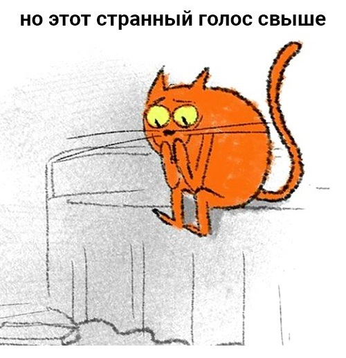 879c090e8d85cc3483c010641f8b4c02.jpg