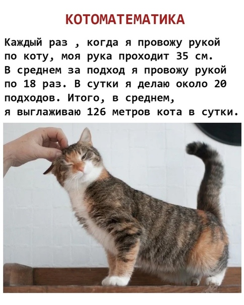 b4b8e26ec7e48b2b36346942a05197c5.jpg