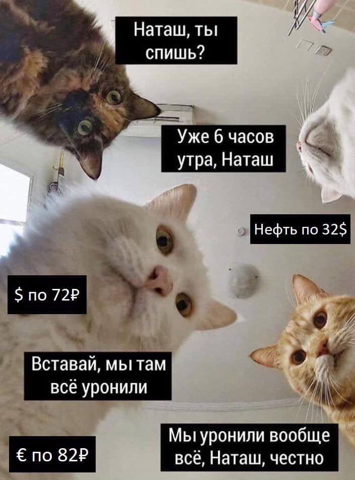 7457791f7381426b43390538bdffee0b.jpg