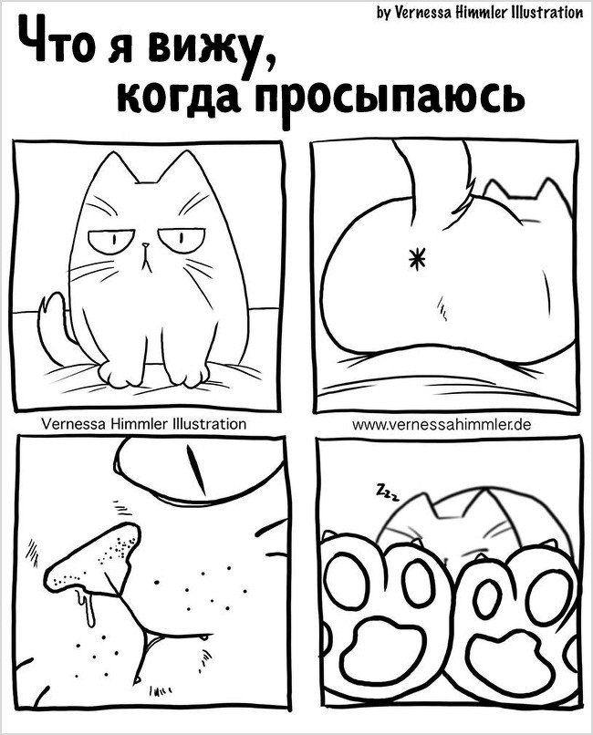 b61c83dfc702661fb714bb4e3e76d3f9.jpg