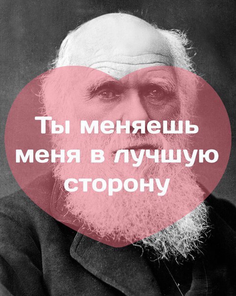 c23e96afee193a2e74732f0177e10d4f.jpg