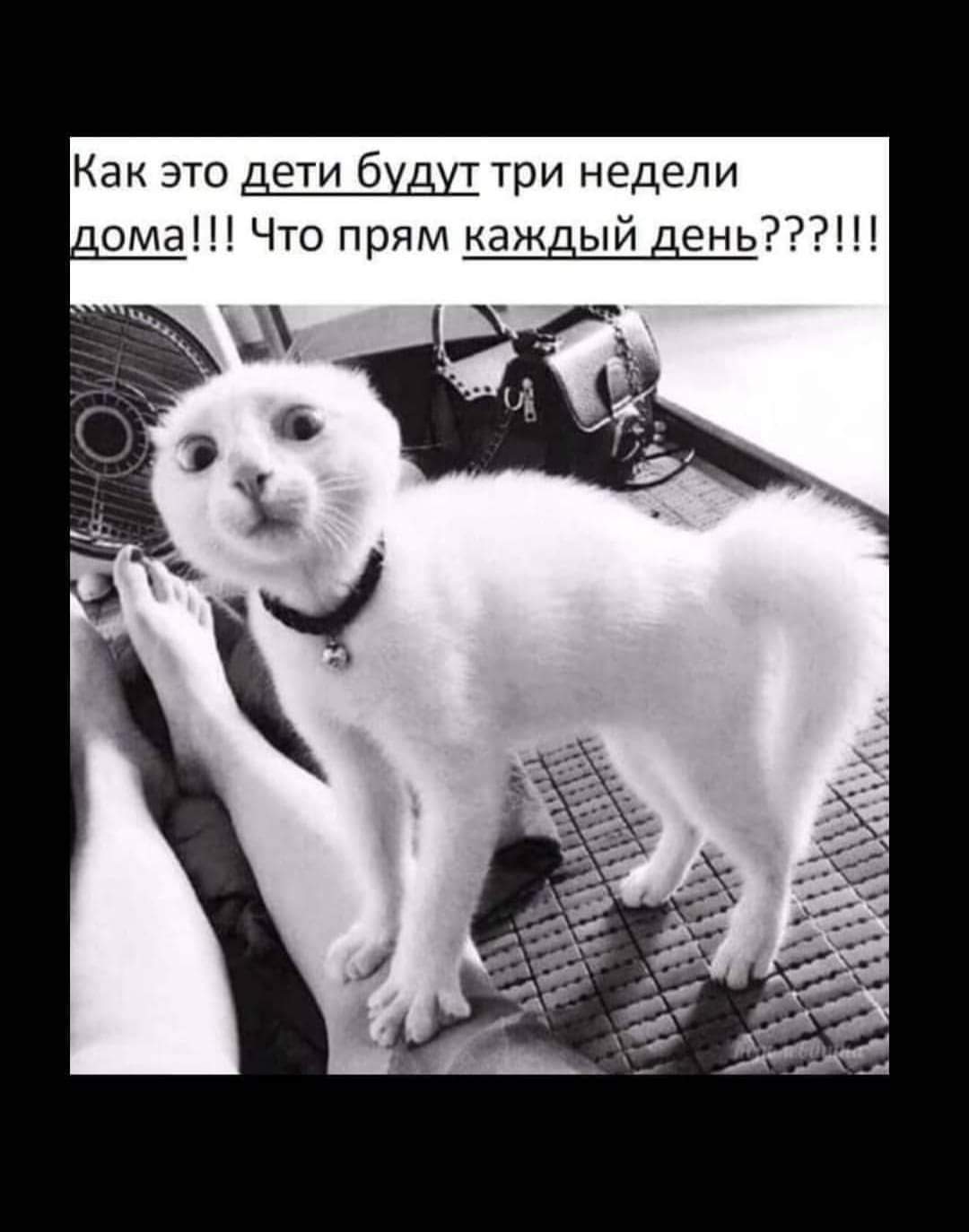f9f111f30d635d453fa18a231e8c65f9.jpg