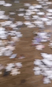 2d4ff082f76984fe5d263896fd04e901.gif