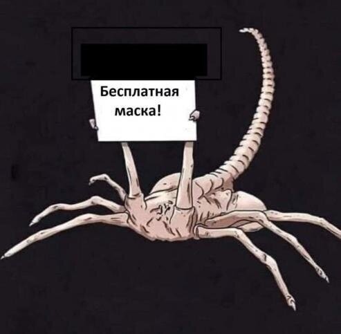 9240bd57ee6990571ea8f857ccb46ced.jpg