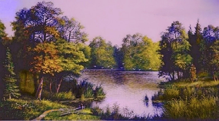 chajki-nad-ozerom.jpg