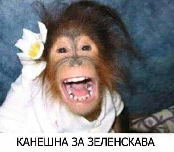 ВВП за перший квартал знизився на 1,5%, - Держстат - Цензор.НЕТ 4714