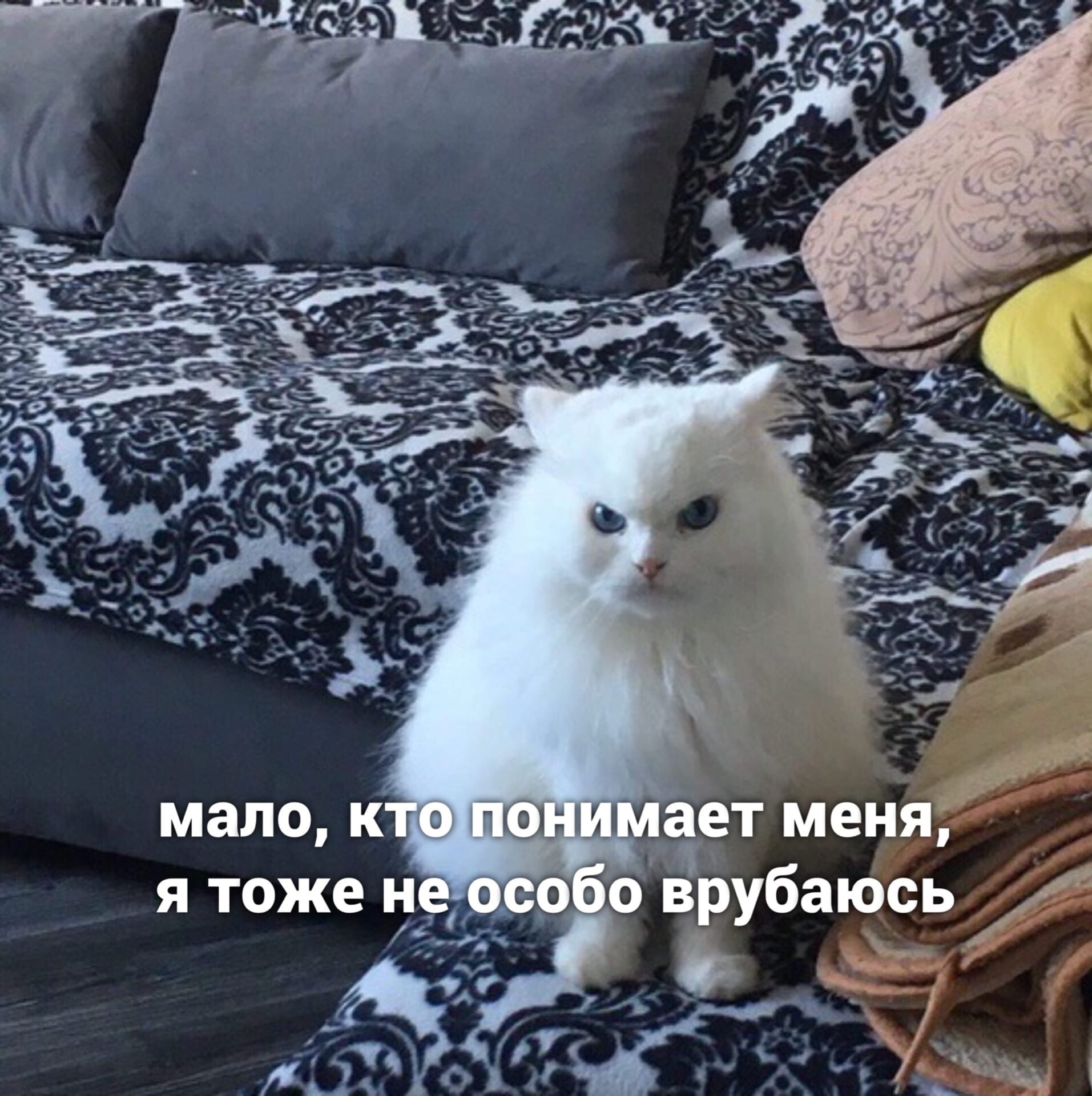 197948bb329503754bd34f1fd35bfe01.jpg