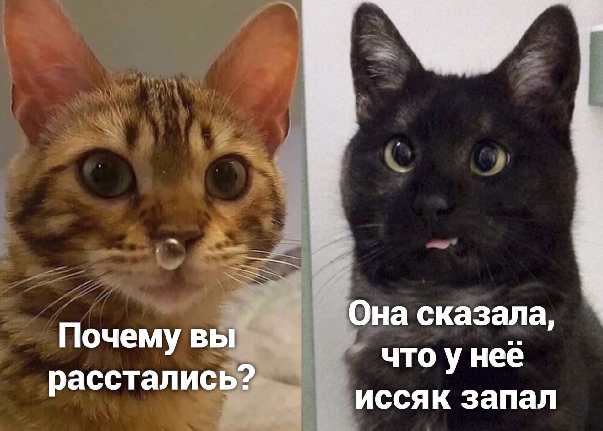 1d34afd62e2e2b7e840122a07e7c3029.jpg