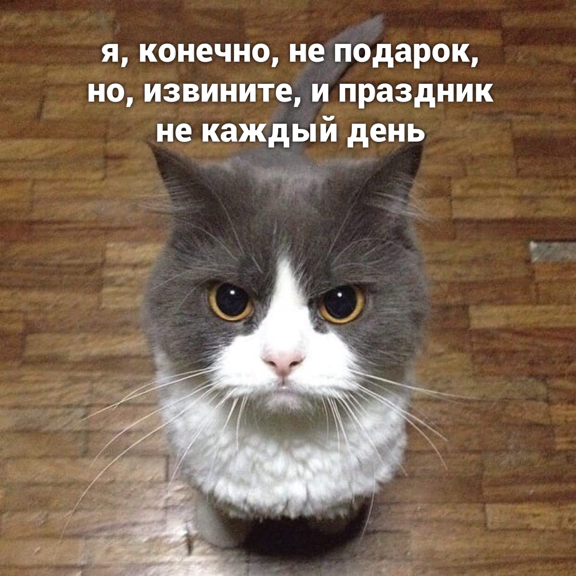 9b5b45681ac969de4e36a484c6063109.jpg