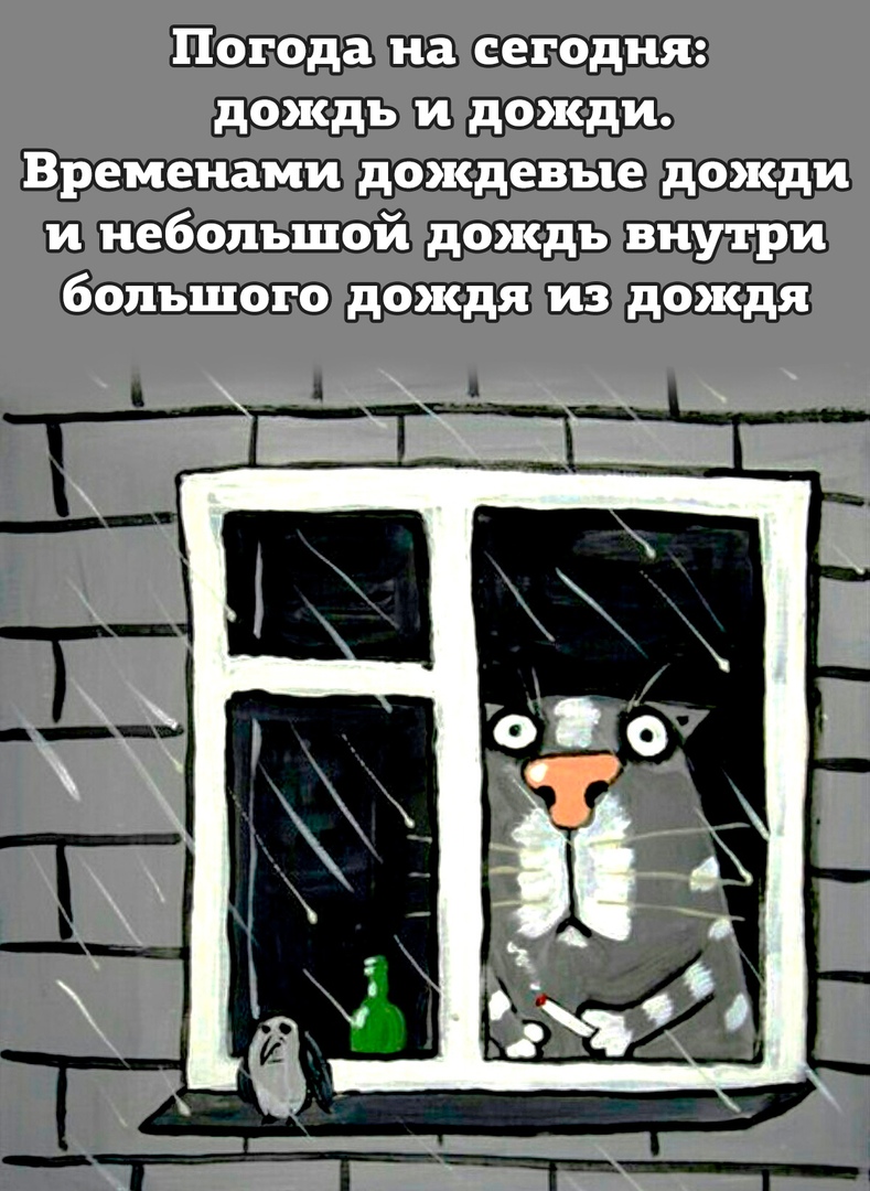 9de3036a9053c101d0c18ff22c2d501d.jpg