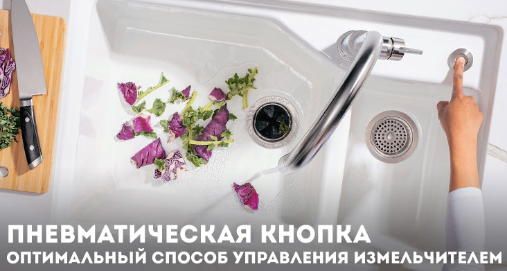 Какой измельчитель выбрать для кухни фото