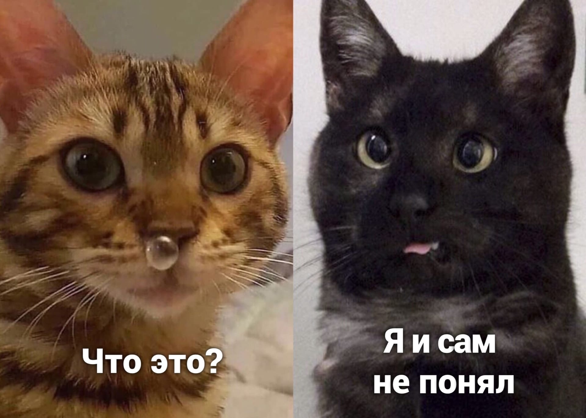 f51acef9c3d4a719ad3cf8543860340c.jpg