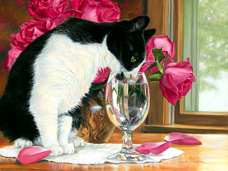 Котоматрица - 4 - Страница 37 20ed822e1601f661b9f9a67e26a10fc2