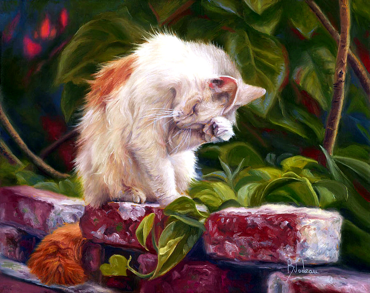 Котоматрица - 4 - Страница 37 299e1e684eb3bb31d1f5e54de6217674