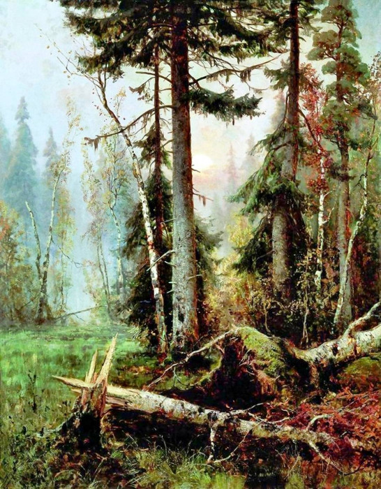 Дебри.jpg