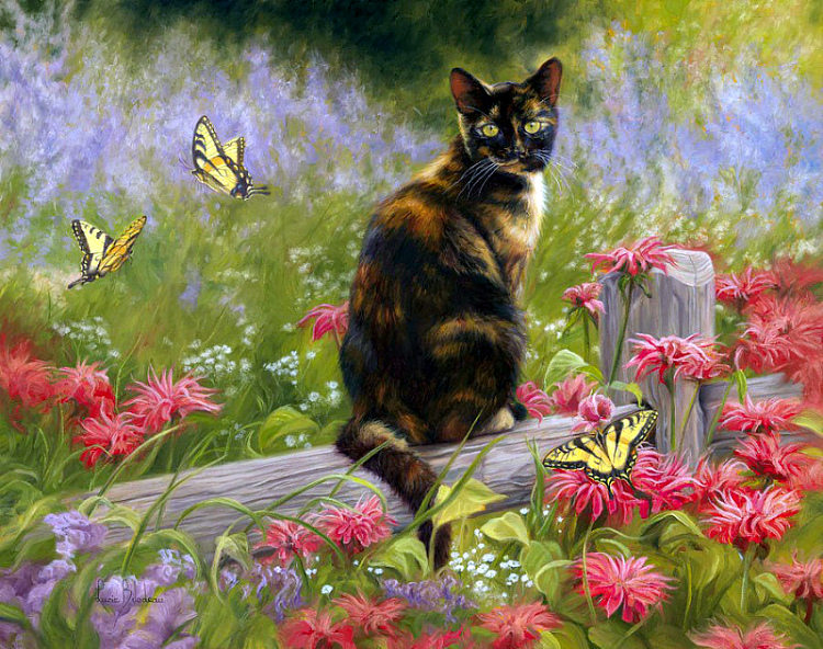 Котоматрица - 4 - Страница 37 49de9790301bbf10f6bb219636f725ba