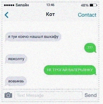 53a023b846efc7d1e0f89e274ac22353.jpg