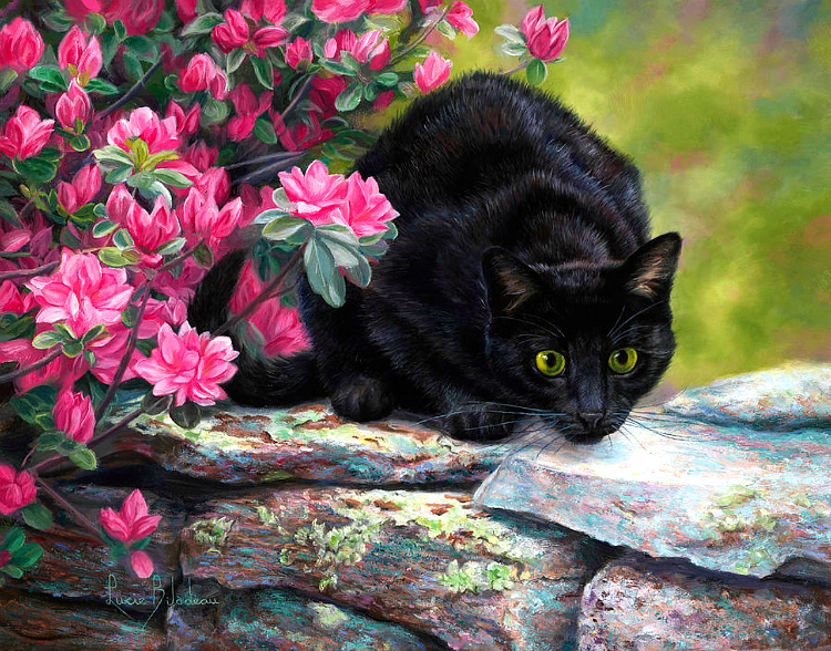 Котоматрица - 4 - Страница 37 6c8d337925b5e9f916a8df52894e4a3f