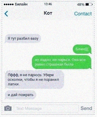 73dfe3e15ece2da867a18467bfa0a146.jpg