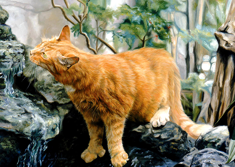 Котоматрица - 4 - Страница 37 9802d380ca63155efe599291d5d3eabc