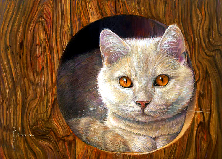 Котоматрица - 4 - Страница 37 Bf1d7d8ef95fab0ba05b01183261a5a6
