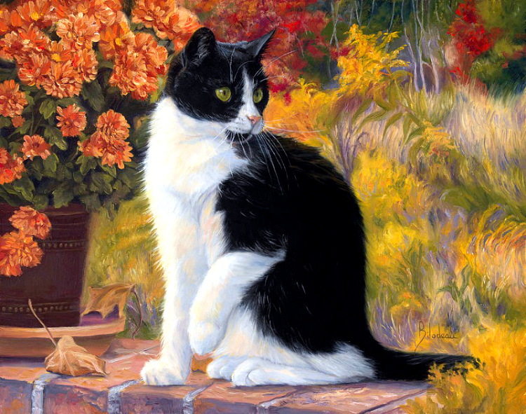 Котоматрица - 4 - Страница 37 Ced4250540fe7b8f1a4b2eb709ee4340