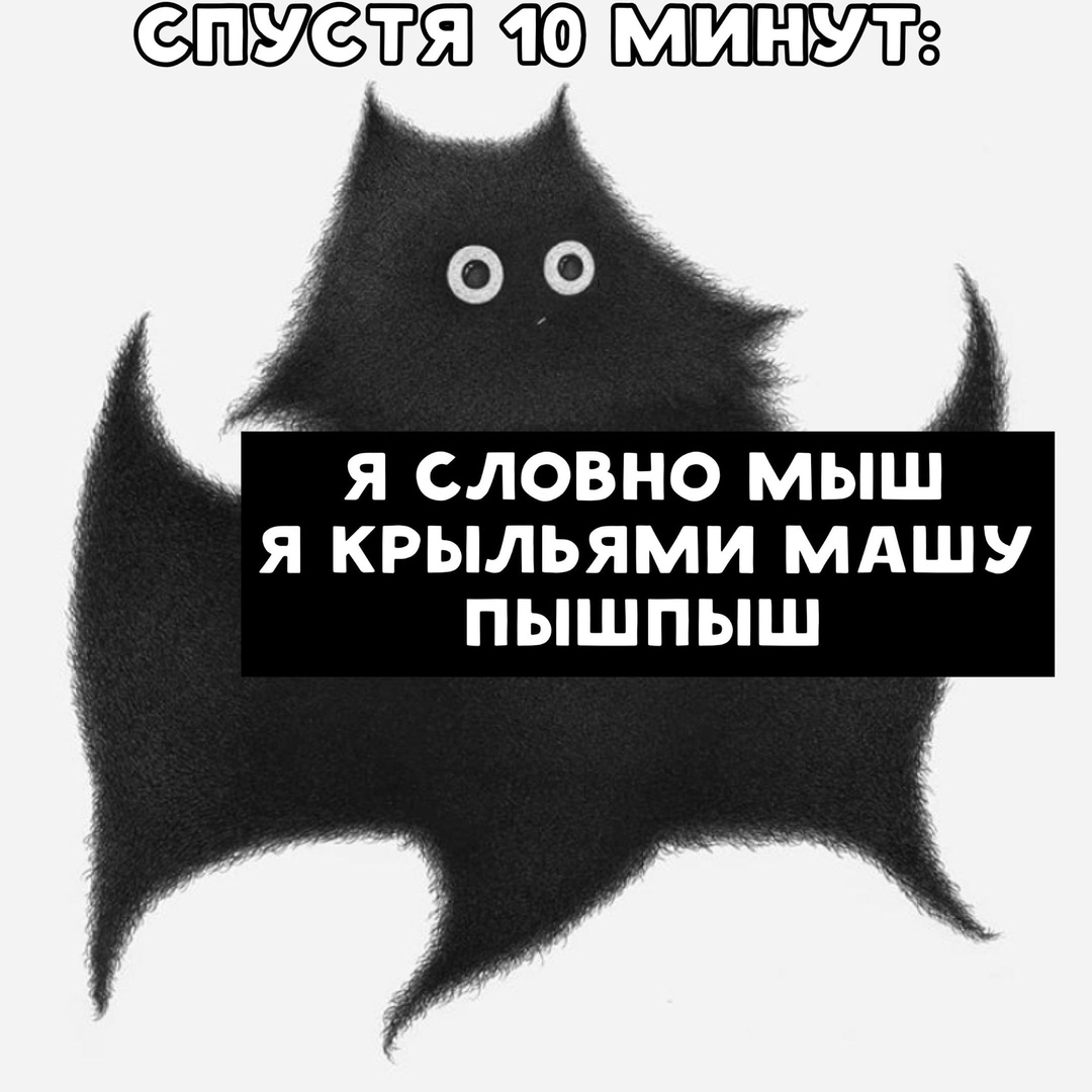 cf6a0d61c4158a75b3a5db742dcd2efd.jpg