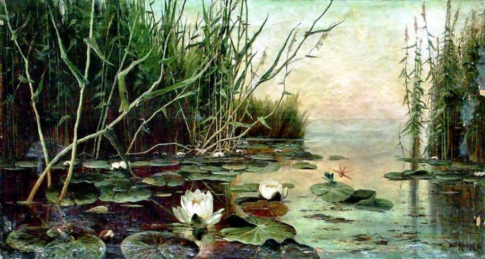 Озеро с водяными лилиями.jpg