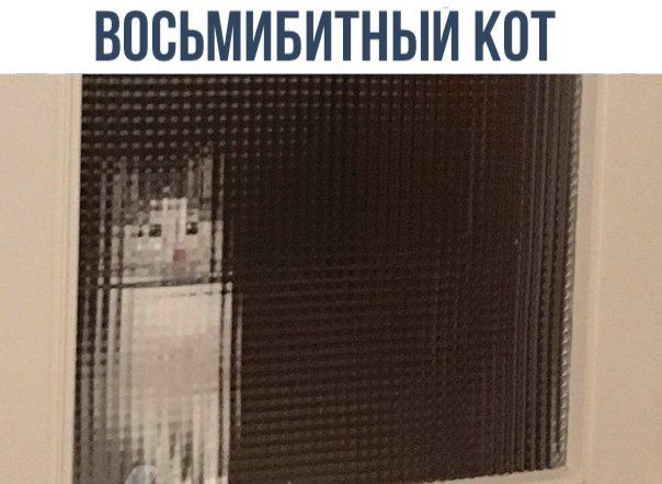 fb908129ec8697a3cd422c9e44d01ae5.jpg