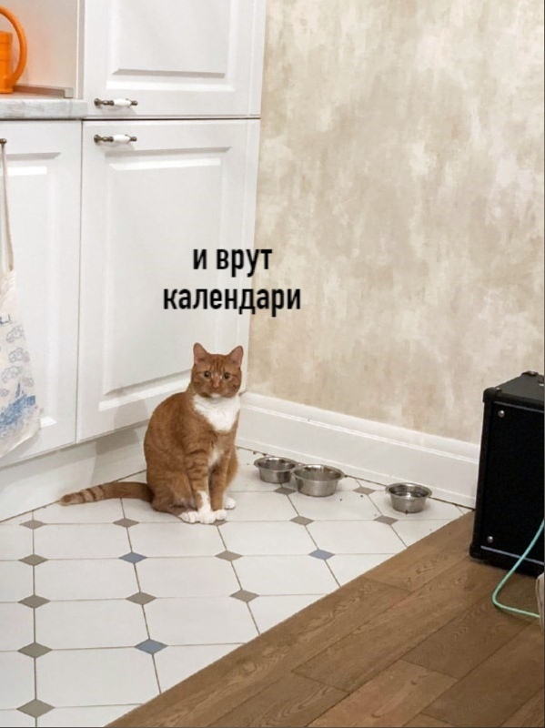 1469652785ba9205f095aef6e2b6b274.jpg