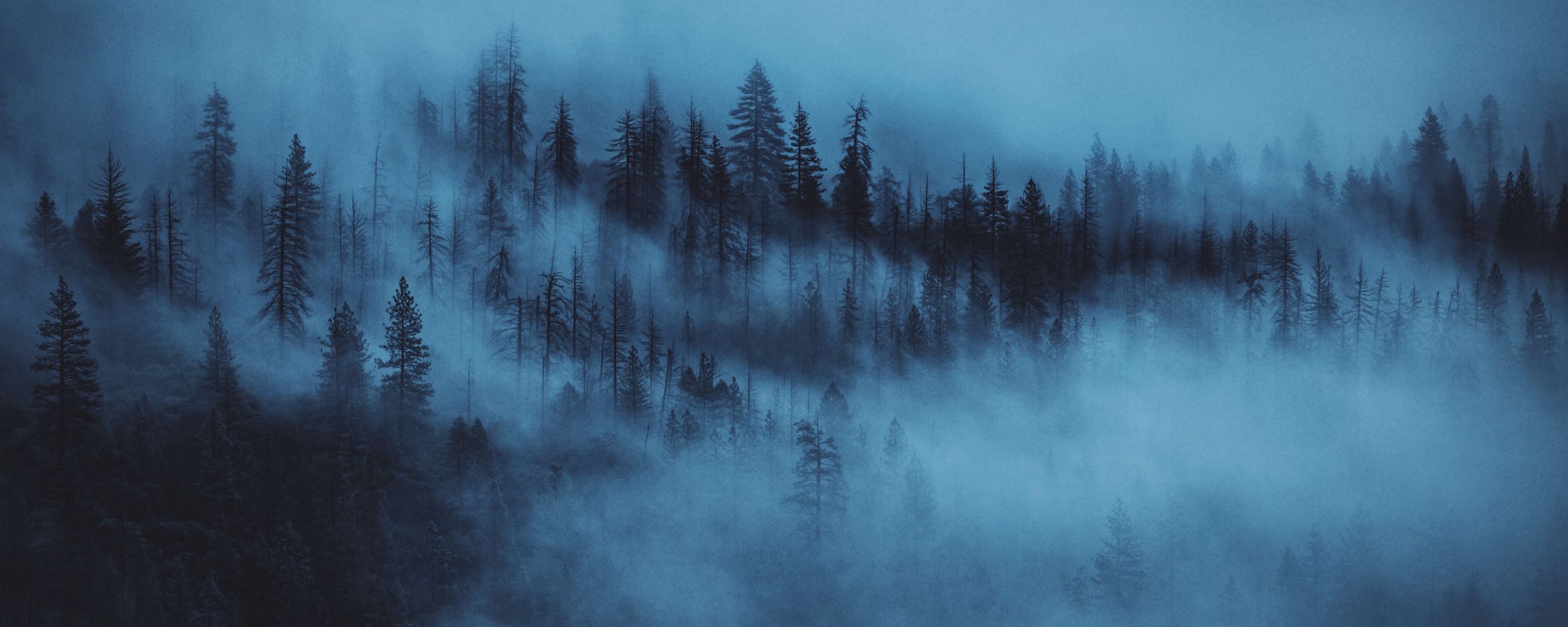 https://s8.hostingkartinok.com/uploads/images/2020/10/1e065d0e5de8873579849f07448e8bfd.jpg
